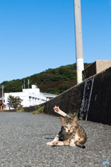 見ちゃダメ