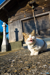 にゃは～っ(#^.^#)