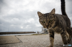 いらっしゃい～(^-^)