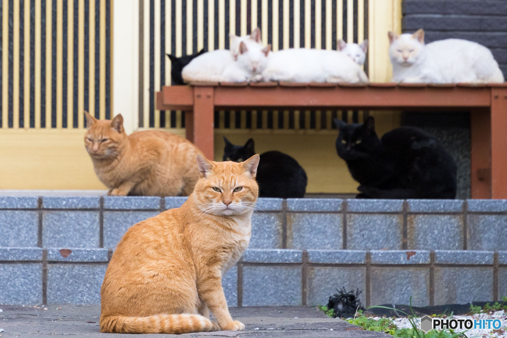 なごやか、にぎやか