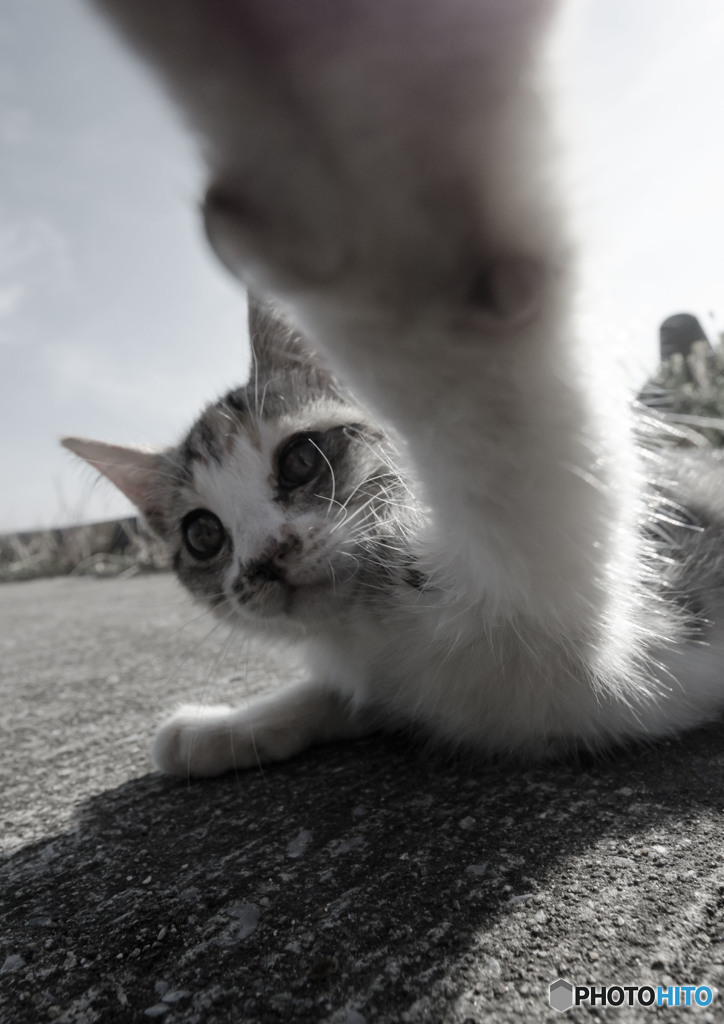 かいしんのいちげき？