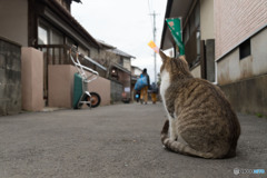 いってらっしゃい