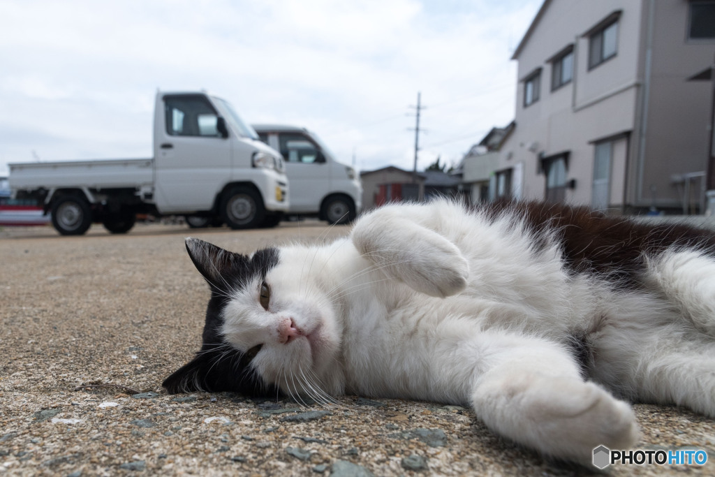 ゴロゴロっとね