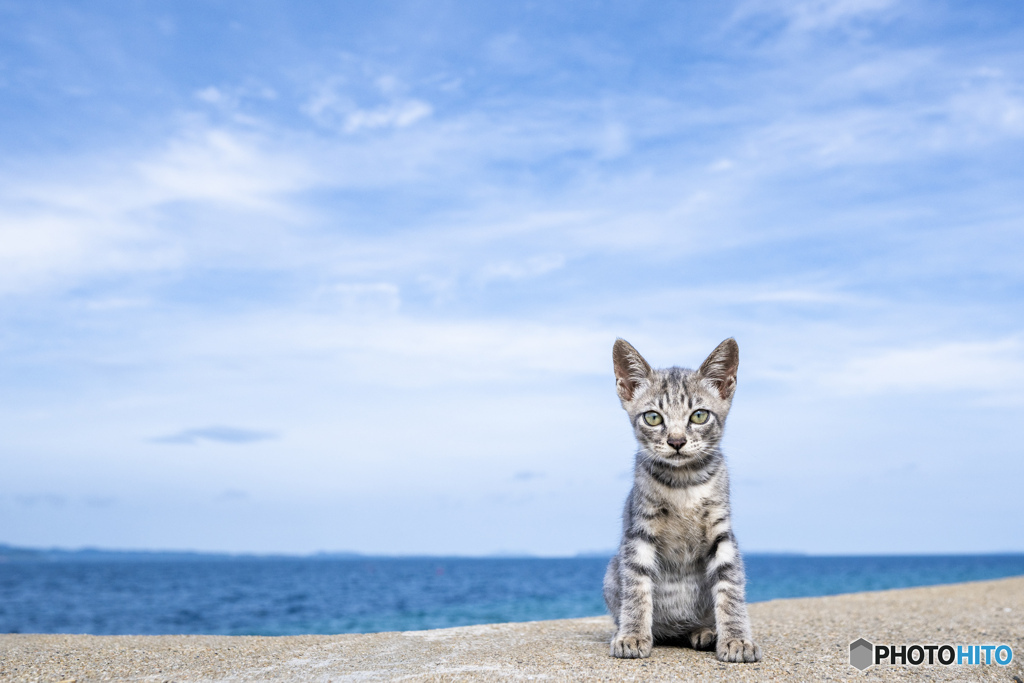 おチビの夏