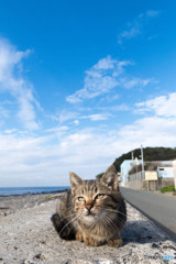 いいお天気ですニャ～