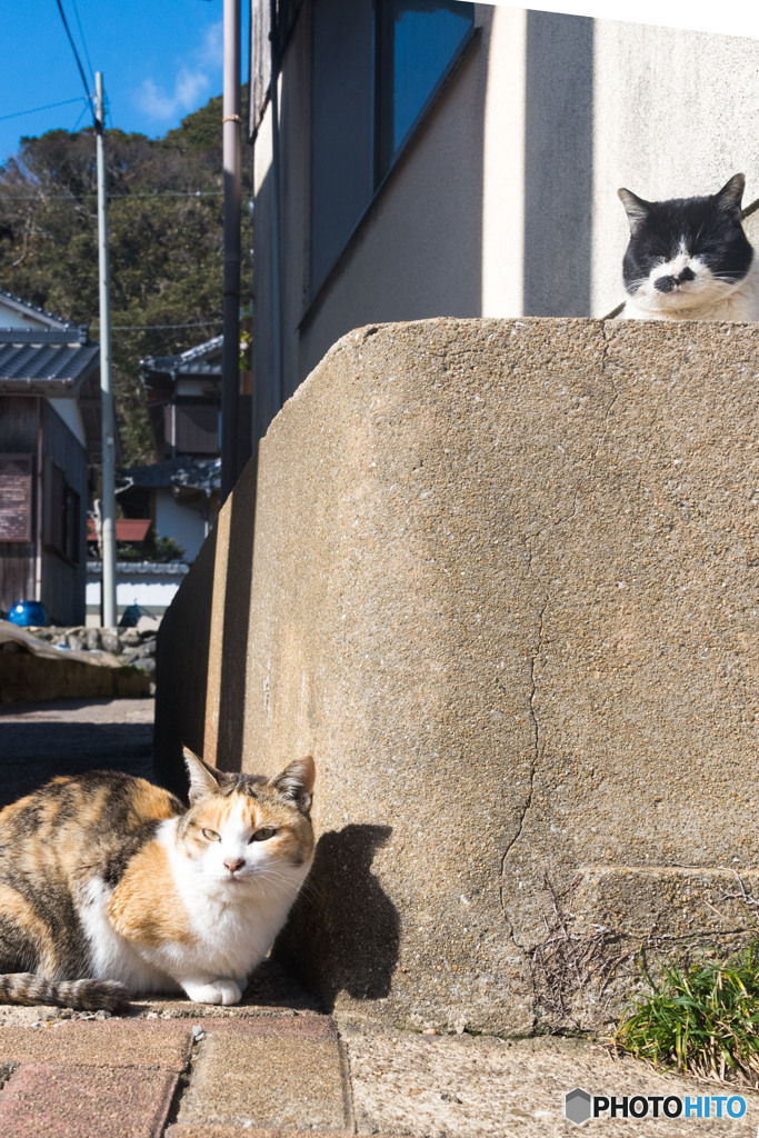 誰かが見張っているようなきがする