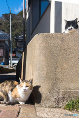 誰かが見張っているようなきがする