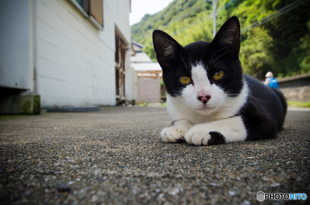 秋風吹いて、オレのまゆ毛がなびく・・・・