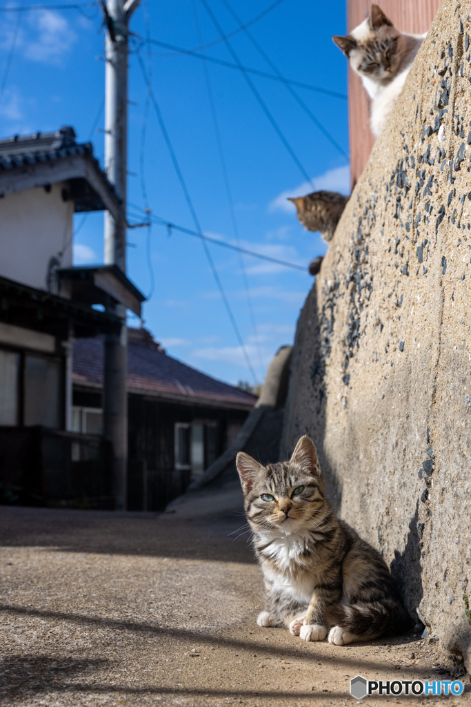 おチビさん