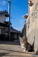 おチビさん