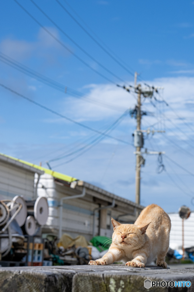 の～び