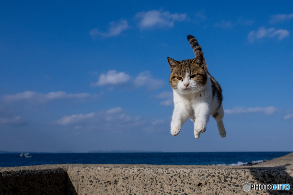 飛ぶ！
