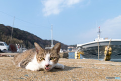 べ