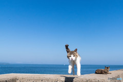 飛行隊のみなさん（1）