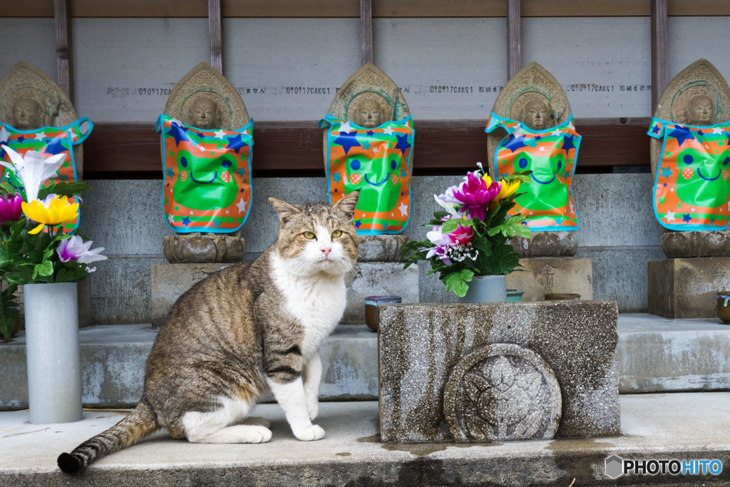 お地蔵様と（2）