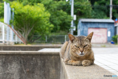 大沢くん、元気そうです