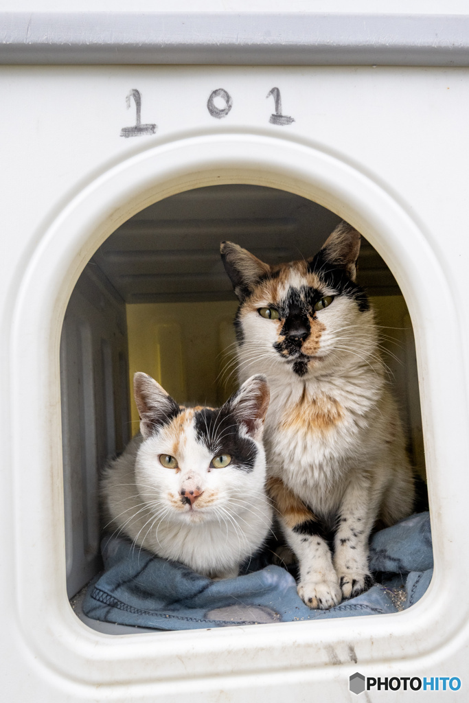 しあわせハウス101号室