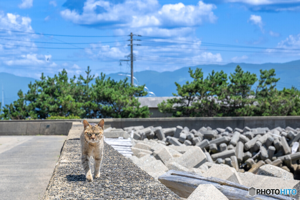 あち〜よね
