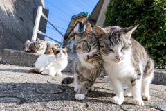 君といちゃいちゃ