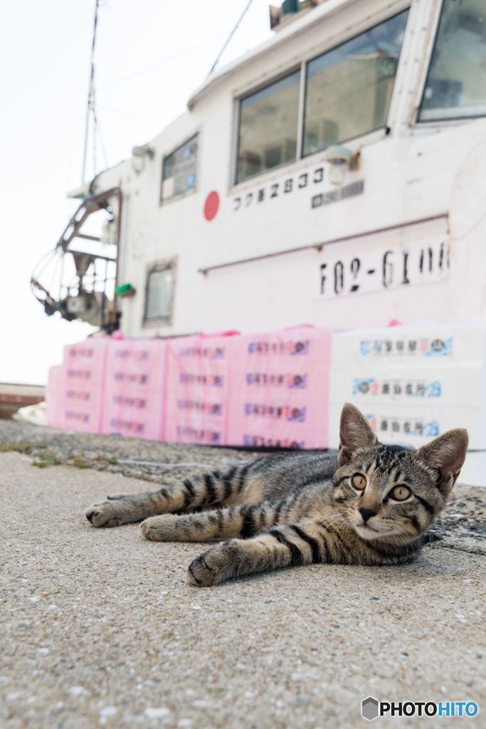 のんびりとね