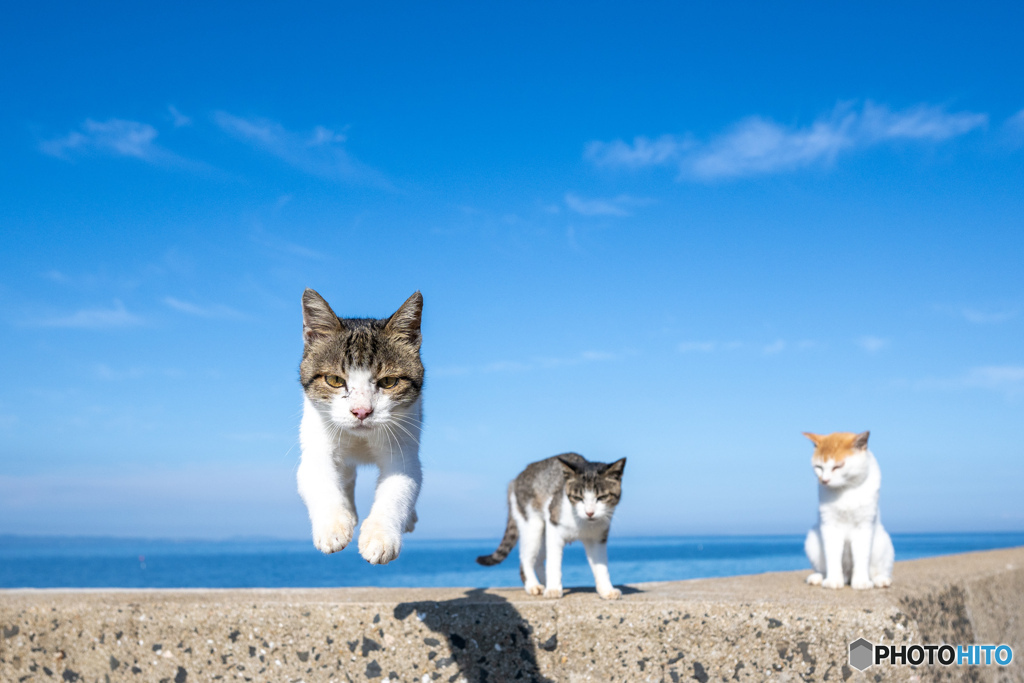 まっすぐに