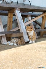 眠たいよねぇ