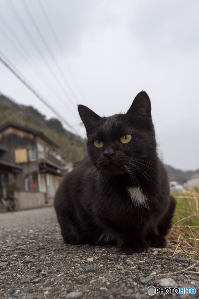 クロちゃん