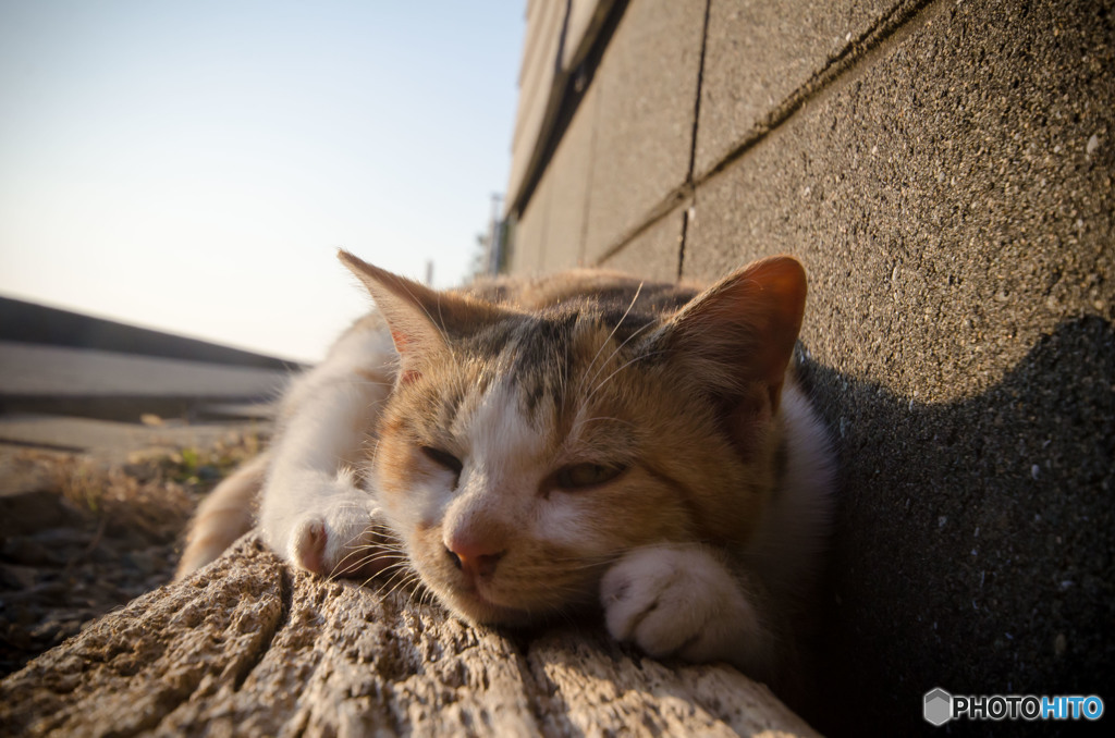 すごーく眠たいのねん