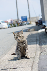 膝の上に乗ってきたお兄ちゃん