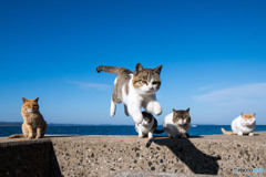 おチビ隊員ゴーゴー