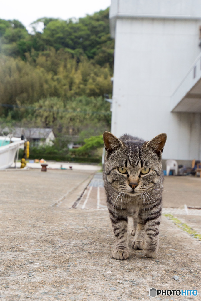 あのあの、ちょっとスイマセン