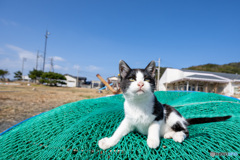 はっちゃんの空