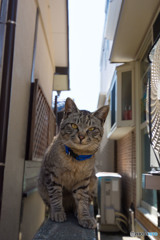 こんにちは