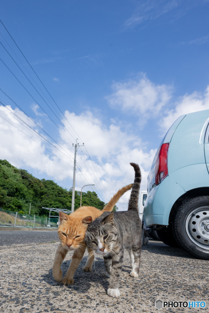 ぐりぐり
