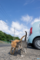 ぐりぐり
