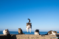 気合でゴー！