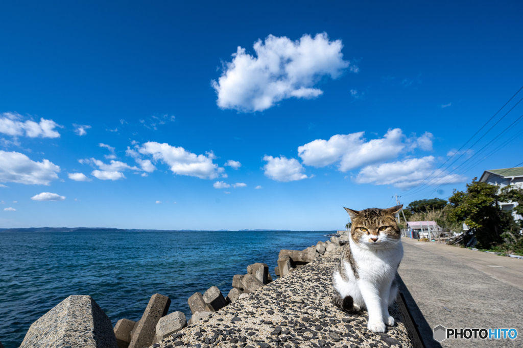 ナイスなお天気