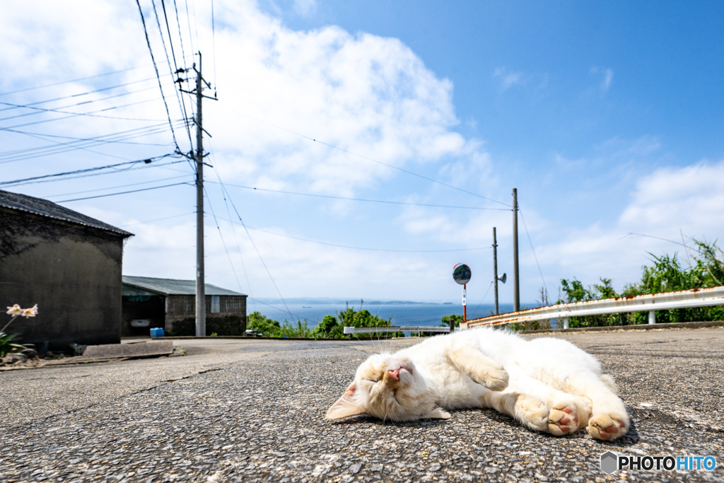 なんかいい心地