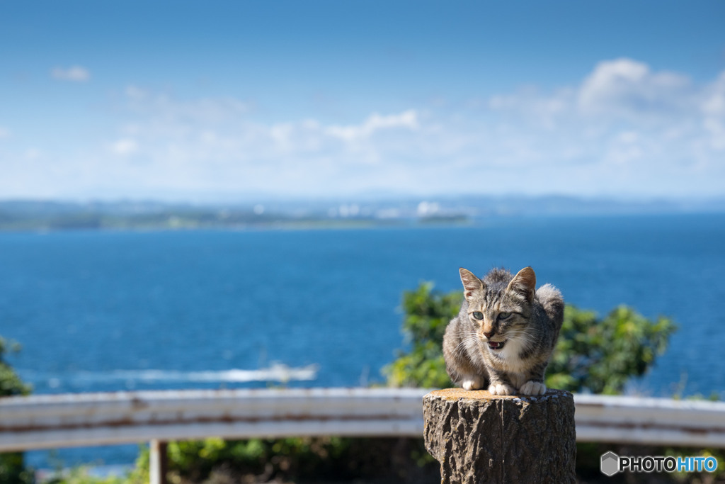 海辺でおにゃにゃ