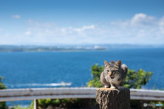 海辺でおにゃにゃ