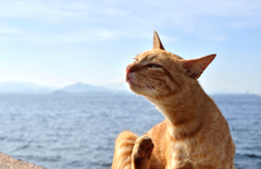 海辺でカイカイ