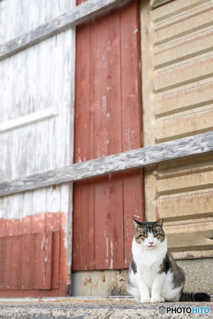 ふっくらまめちゃん
