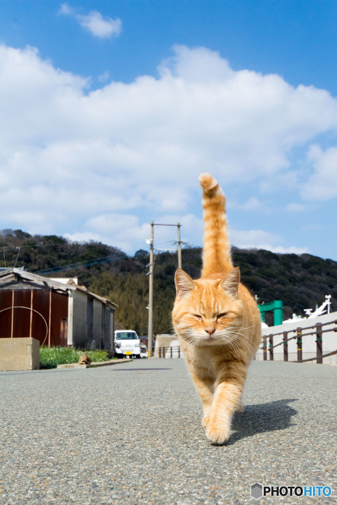 (´・ω・｀)やあ