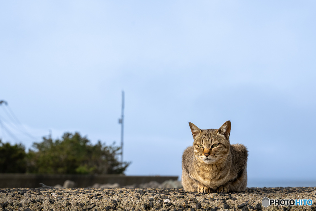 さち