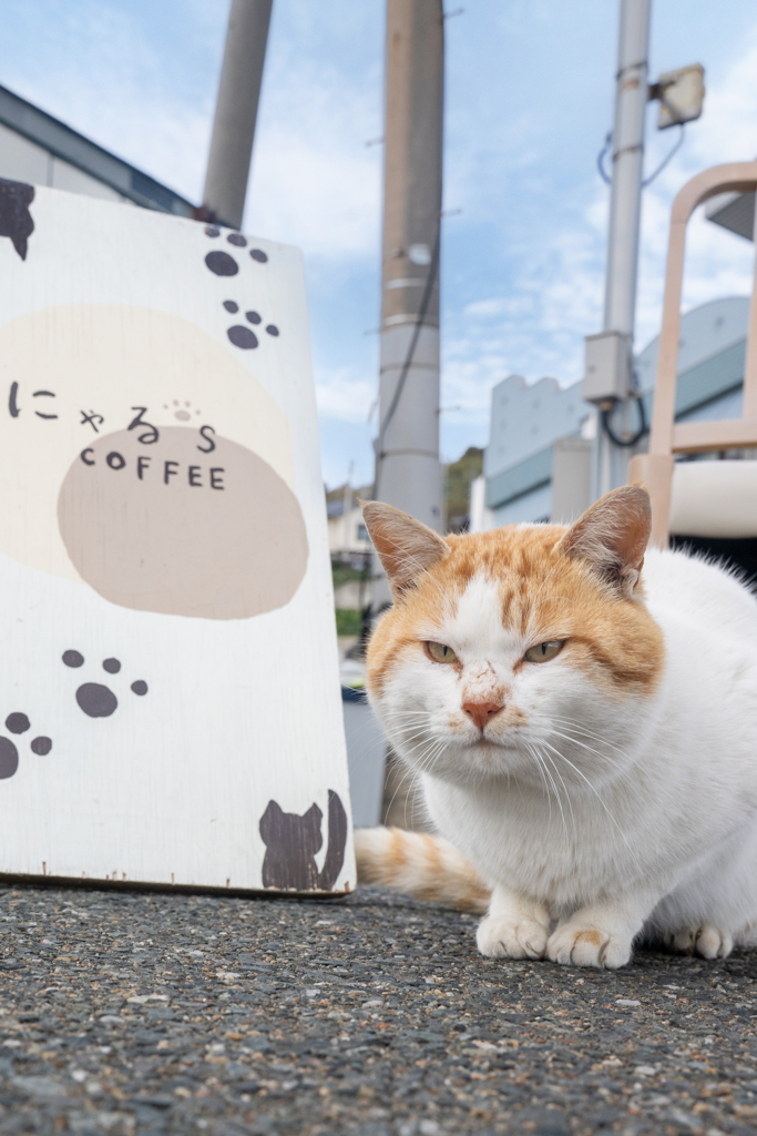 いらっしゃ～い