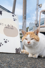 いらっしゃ～い