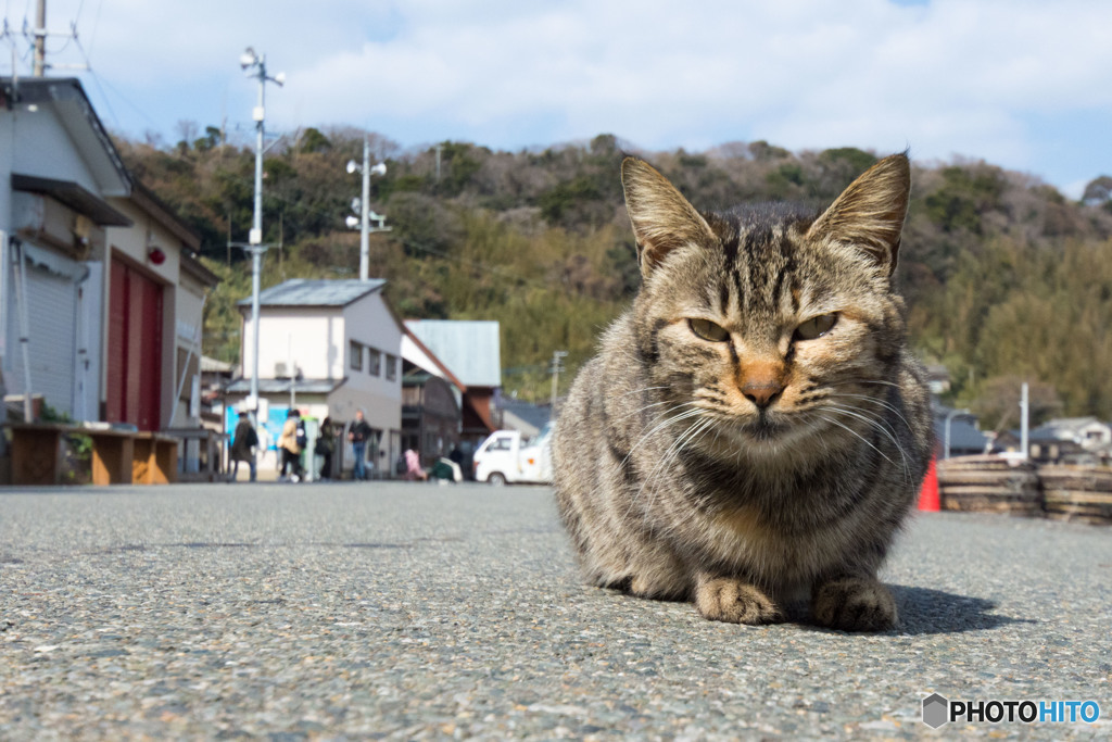 ☆⌒(*＾-゜)vどうも