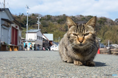 ☆⌒(*＾-゜)vどうも