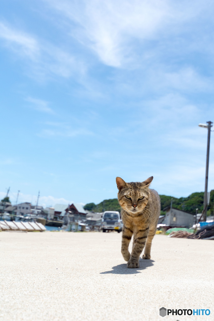 大沢くん！暑さに負けるな！！