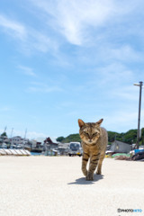 大沢くん！暑さに負けるな！！